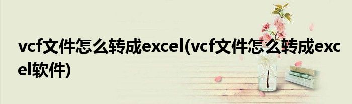 vcf文件怎么轉成excel(vcf文件怎么轉成excel軟件)