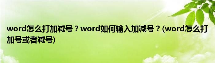 word怎么打加減號？word如何輸入加減號？(word怎么打加號或者減號)