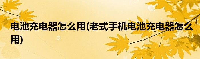 電池充電器怎么用(老式手機電池充電器怎么用)