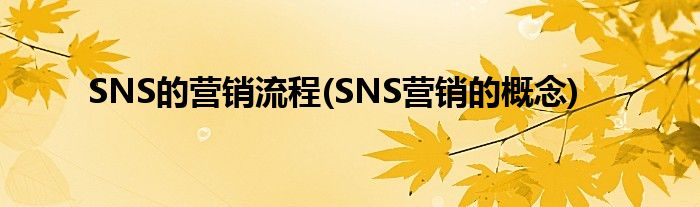 SNS的營銷流程(SNS營銷的概念)