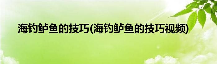 海釣鱸魚的技巧(海釣鱸魚的技巧視頻)