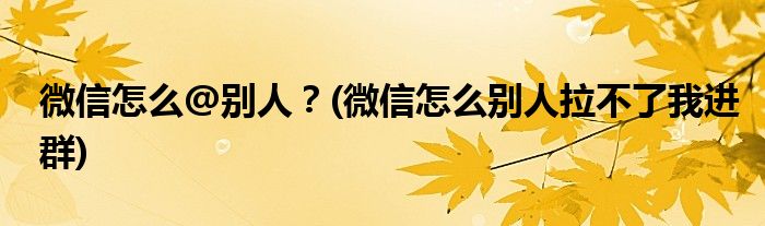 微信怎么@別人？(微信怎么別人拉不了我進(jìn)群)