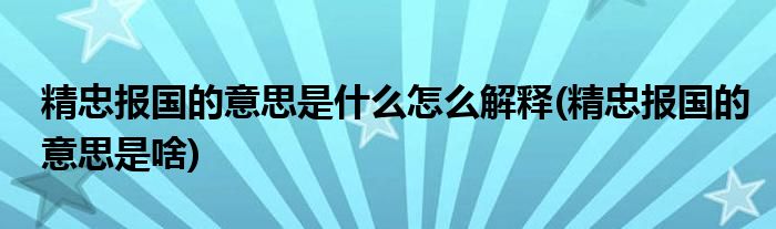 精忠報(bào)國的意思是什么怎么解釋(精忠報(bào)國的意思是啥)