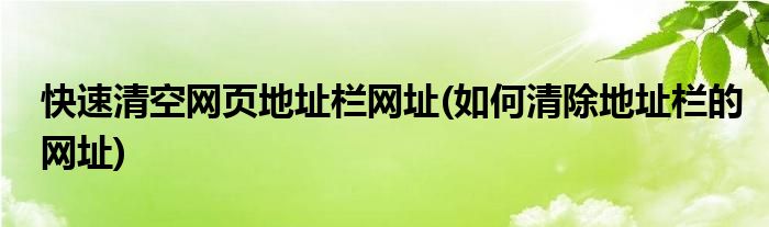 快速清空網(wǎng)頁地址欄網(wǎng)址(如何清除地址欄的網(wǎng)址)