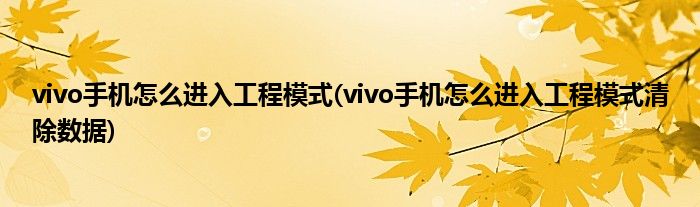 vivo手機怎么進入工程模式(vivo手機怎么進入工程模式清除數(shù)據(jù))