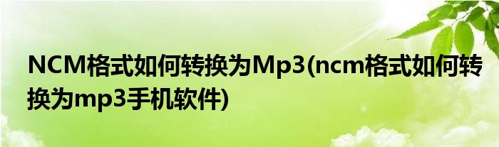 NCM格式如何轉(zhuǎn)換為Mp3(ncm格式如何轉(zhuǎn)換為mp3手機(jī)軟件)