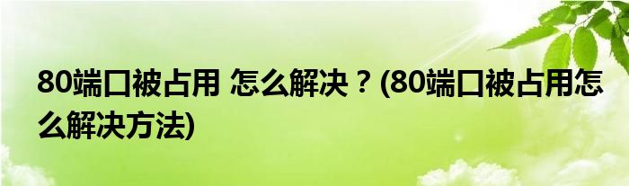 80端口被占用 怎么解決？(80端口被占用怎么解決方法)