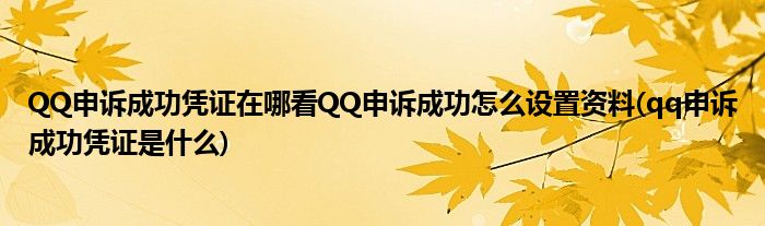 QQ申訴成功憑證在哪看QQ申訴成功怎么設(shè)置資料(qq申訴成功憑證是什么)