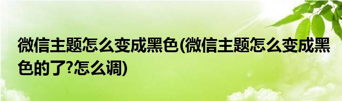 微信主題怎么變成黑色(微信主題怎么變成黑色的了?怎么調(diào))