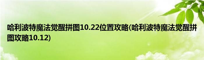 哈利波特魔法覺醒拼圖10.22位置攻略(哈利波特魔法覺醒拼圖攻略10.12)