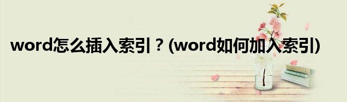 word怎么插入索引？(word如何加入索引)