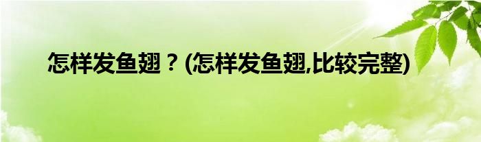 怎樣發(fā)魚翅？(怎樣發(fā)魚翅,比較完整)