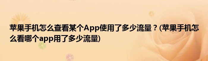 蘋果手機怎么查看某個App使用了多少流量？(蘋果手機怎么看哪個app用了多少流量)