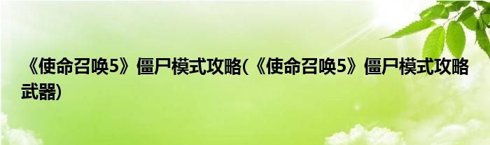 《使命召喚5》僵尸模式攻略(《使命召喚5》僵尸模式攻略武器)