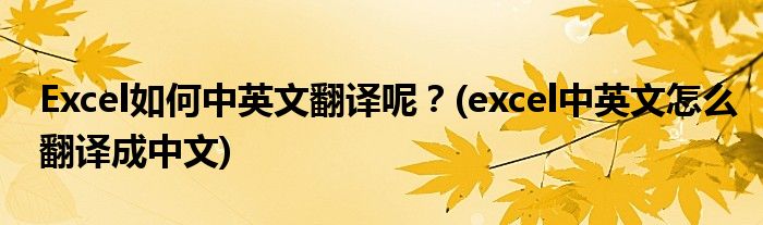 Excel如何中英文翻譯呢？(excel中英文怎么翻譯成中文)