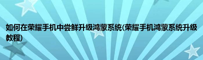 如何在榮耀手機中嘗鮮升級鴻蒙系統(tǒng)(榮耀手機鴻蒙系統(tǒng)升級教程)