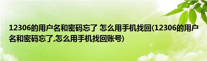 12306的用戶名和密碼忘了 怎么用手機(jī)找回(12306的用戶名和密碼忘了,怎么用手機(jī)找回賬號(hào))