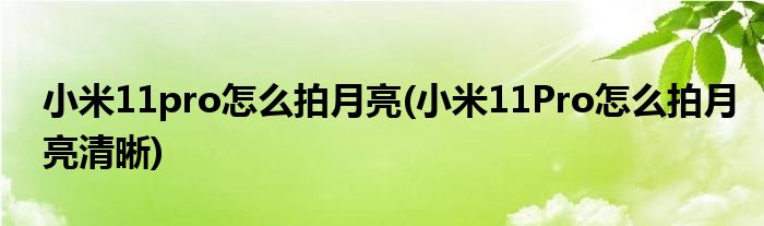 小米11pro怎么拍月亮(小米11Pro怎么拍月亮清晰)