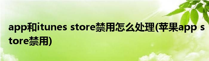 app和itunes store禁用怎么處理(蘋(píng)果app store禁用)