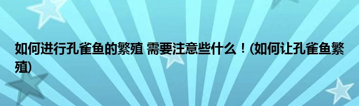 如何進行孔雀魚的繁殖 需要注意些什么！(如何讓孔雀魚繁殖)