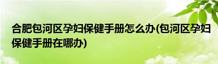 合肥包河區(qū)孕婦保健手冊怎么辦(包河區(qū)孕婦保健手冊在哪辦)