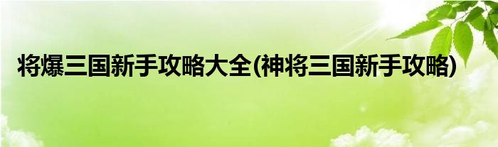 將爆三國新手攻略大全(神將三國新手攻略)