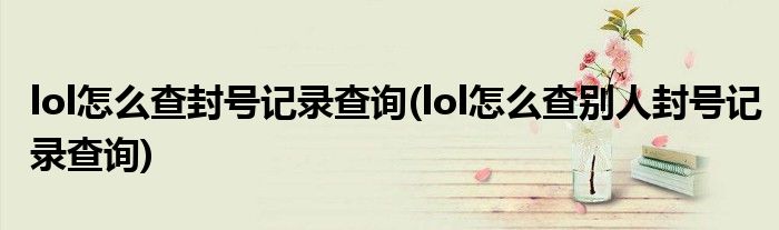 lol怎么查封號記錄查詢(lol怎么查別人封號記錄查詢)