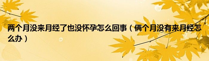 兩個月沒來月經(jīng)了也沒懷孕怎么回事（倆個月沒有來月經(jīng)怎么辦）