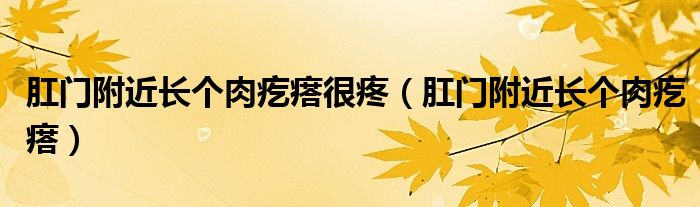 肛門附近長(zhǎng)個(gè)肉疙瘩很疼（肛門附近長(zhǎng)個(gè)肉疙瘩）