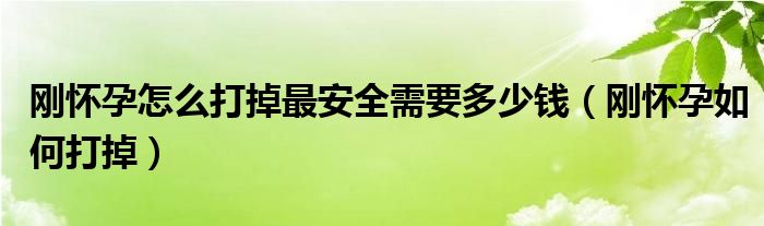 剛懷孕怎么打掉最安全需要多少錢（剛懷孕如何打掉）