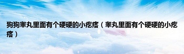 狗狗睪丸里面有個(gè)硬硬的小疙瘩（睪丸里面有個(gè)硬硬的小疙瘩）