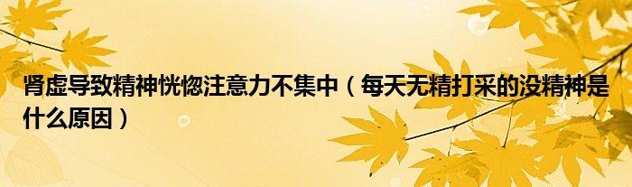 腎虛導致精神恍惚注意力不集中（每天無精打采的沒精神是什么原因）