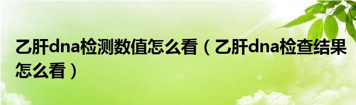 乙肝dna檢測(cè)數(shù)值怎么看（乙肝dna檢查結(jié)果怎么看）