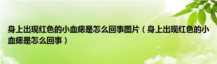 身上出現(xiàn)紅色的小血痣是怎么回事圖片（身上出現(xiàn)紅色的小血痣是怎么回事）