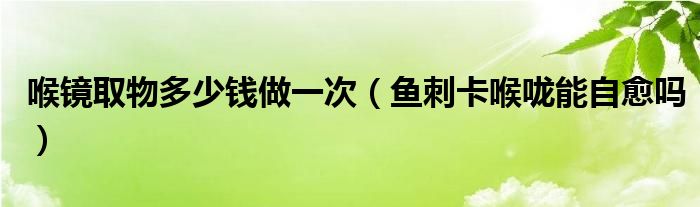 喉鏡取物多少錢做一次（魚刺卡喉嚨能自愈嗎）