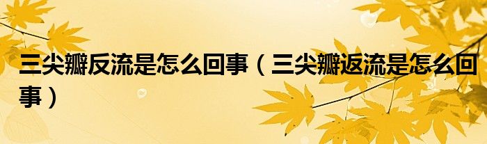 三尖瓣反流是怎么回事（三尖瓣返流是怎么回事）