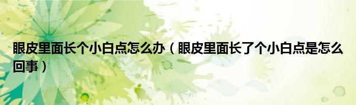 眼皮里面長(zhǎng)個(gè)小白點(diǎn)怎么辦（眼皮里面長(zhǎng)了個(gè)小白點(diǎn)是怎么回事）