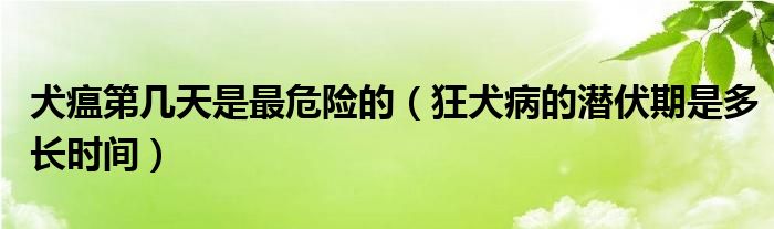 犬瘟第幾天是最危險(xiǎn)的（狂犬病的潛伏期是多長時(shí)間）