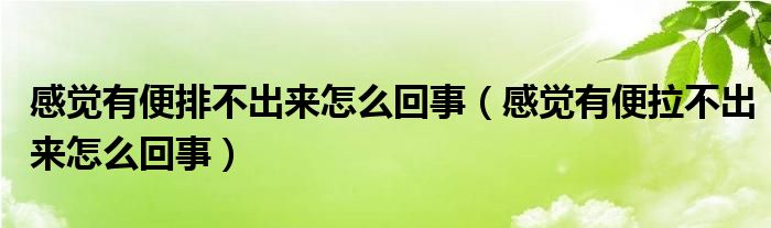 感覺(jué)有便排不出來(lái)怎么回事（感覺(jué)有便拉不出來(lái)怎么回事）