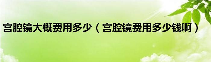 宮腔鏡大概費(fèi)用多少（宮腔鏡費(fèi)用多少錢(qián)啊）