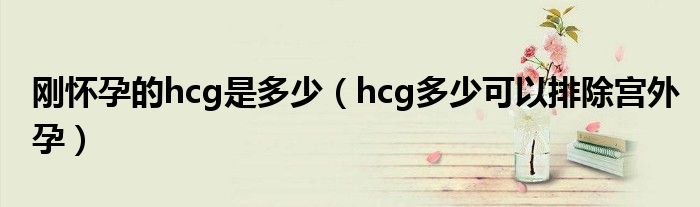 剛懷孕的hcg是多少（hcg多少可以排除宮外孕）