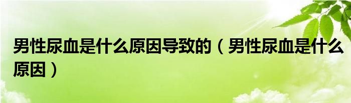 男性尿血是什么原因?qū)е碌模行阅蜓鞘裁丛颍?class='thumb lazy' /></a>
		    <header>
		<h2><a  href=