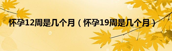 懷孕12周是幾個(gè)月（懷孕19周是幾個(gè)月）