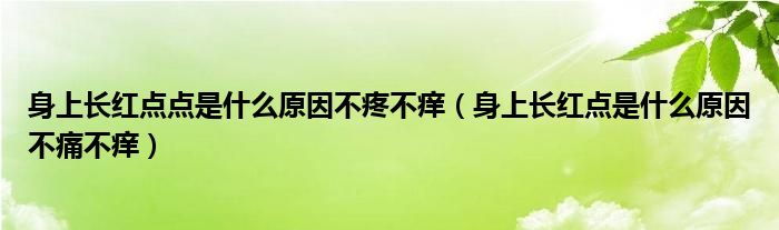 身上長紅點點是什么原因不疼不癢（身上長紅點是什么原因不痛不癢）