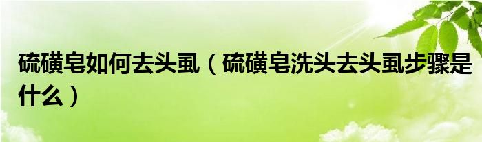 硫磺皂如何去頭虱（硫磺皂洗頭去頭虱步驟是什么）