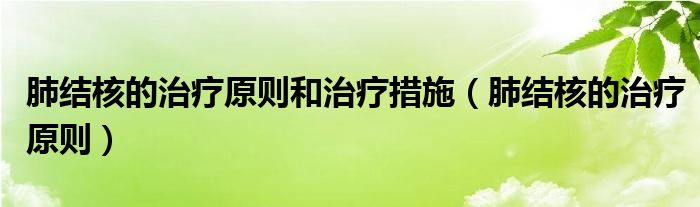 肺結(jié)核的治療原則和治療措施（肺結(jié)核的治療原則）