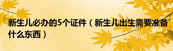 新生兒必辦的5個證件（新生兒出生需要準備什么東西）