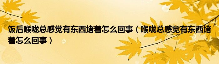 飯后喉嚨總感覺(jué)有東西堵著怎么回事（喉嚨總感覺(jué)有東西堵著怎么回事）