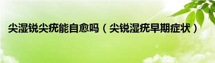 尖濕銳尖疣能自愈嗎（尖銳濕疣早期癥狀）