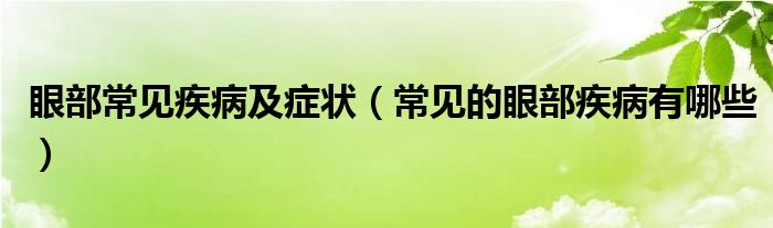 眼部常見疾病及癥狀（常見的眼部疾病有哪些）